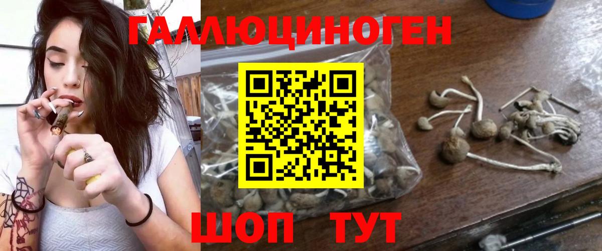 Галлюциногенные грибы GOLDEN TEACHER Лабинск